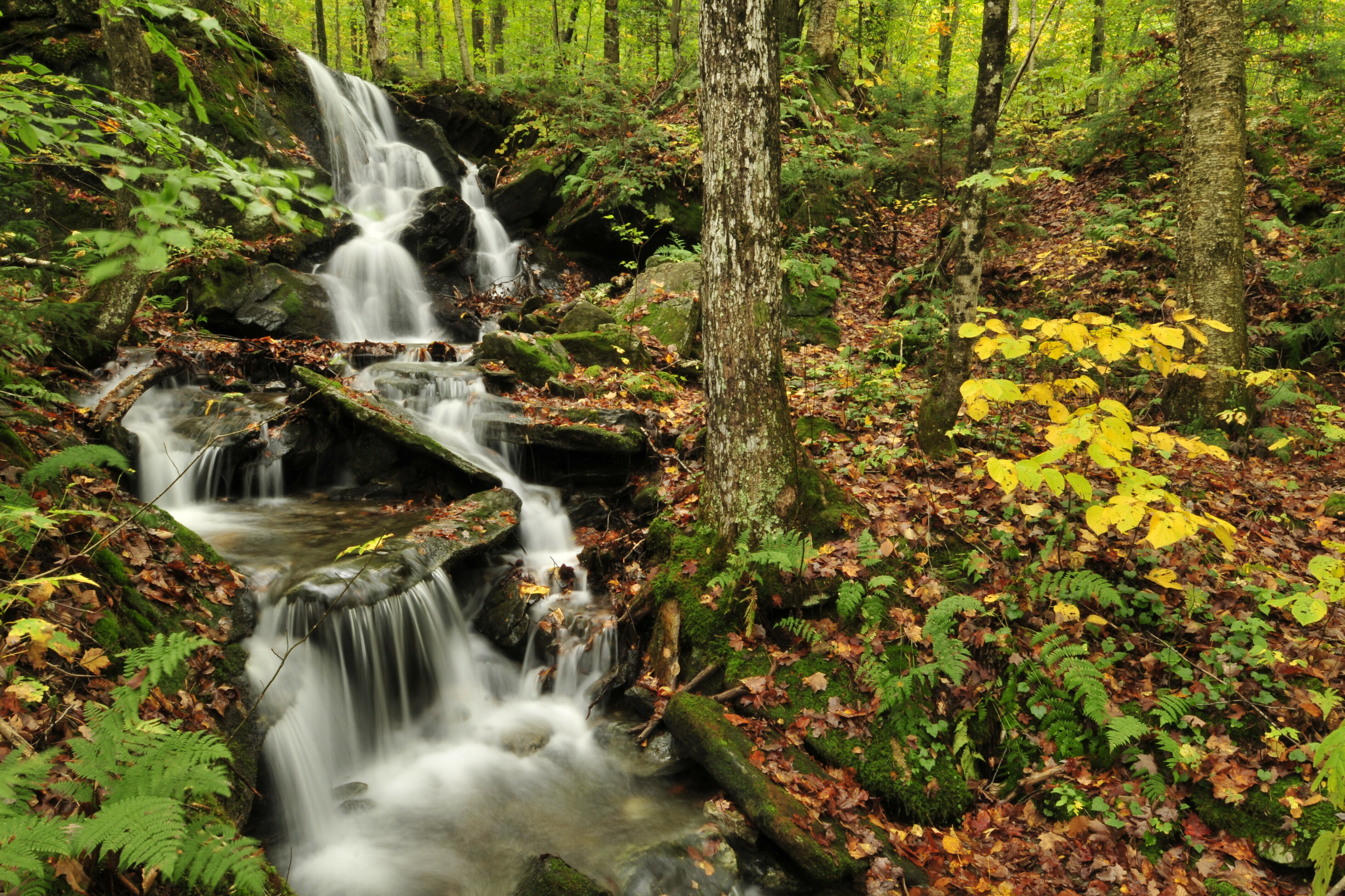 A serene waterfall cascades over rocks in a lush, wooded area with autumn leaves.