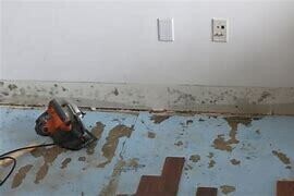 Mold along the base and flooring of a room